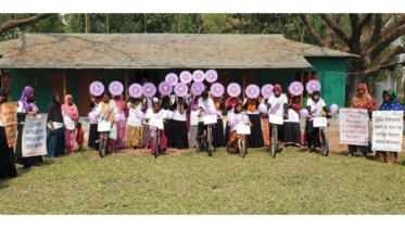 International women’s Day-2025 celebrated in Gaibandha’s  Fulchha